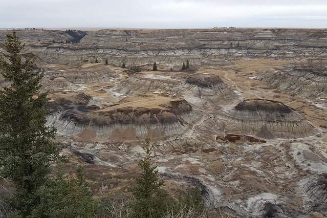 Calgary to Royal Museum | Drumheller – PRIVATE TOUR - Royal Tyrrell Museum: Where Fossils Take Over the Day