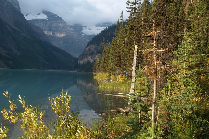 Canadian Rockies Golden Hour Tour | Lunch Included - Pickup and the private-group advantage in Calgary