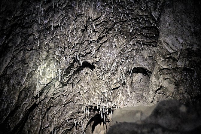 Canmore Caving Explorer Tour - The hike to the cave opening: what uphill means here