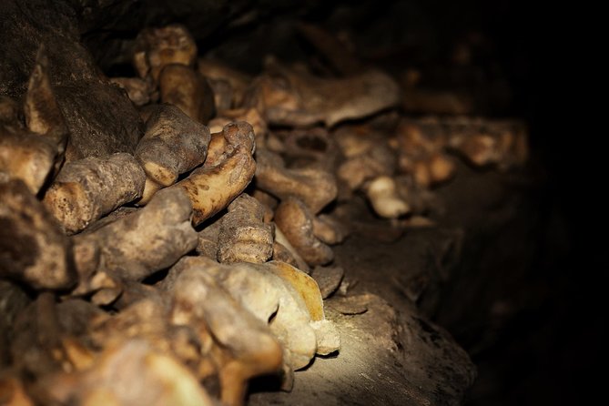 Canmore Caving Explorer Tour - Inside Rat’s Nest: darkness, formations, and the “how caves form” lesson