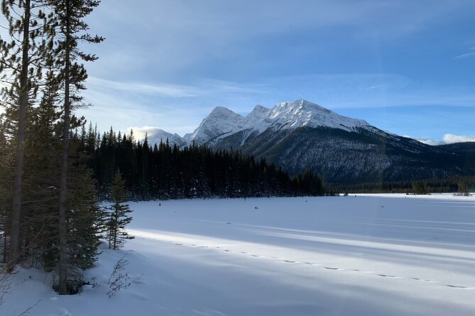 Canmore: Lost Towns and Untold Stories Hiking Tour - 3hrs - Why This Canmore Hike Feels Like More Than a Walk