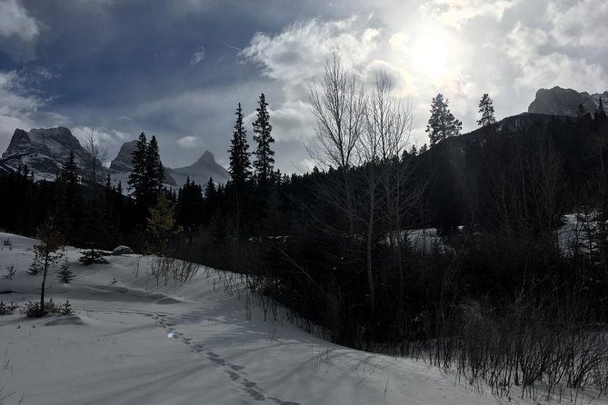 Canmore: Stargazing and Nature by Nightfall Walking Tour - 2hr - What you’ll actually do during the 2 hours