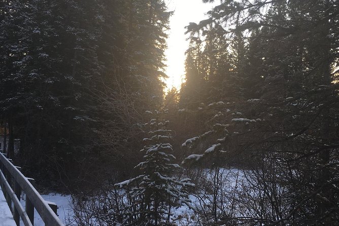 Canmore: Stargazing and Nature by Nightfall Walking Tour - 2hr - Stargazing basics that make a difference (even if it’s cloudy)