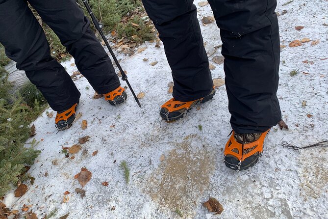 Canmore: Wilderness & Wildlife Tour - 2hr Walk - Your guide makes the tour: local stories, pacing, and practical attention