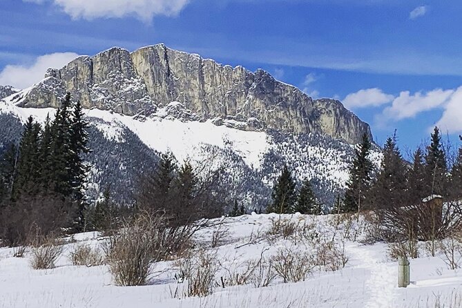 Canmore: Wilderness & Wildlife Tour - 2hr Walk - Group size, language, and comfort: how to judge if this fits you