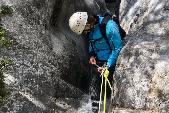 Canyoning half day - Heart Creek Canyon (beginner level) - Price, Time, and What You’re Actually Buying