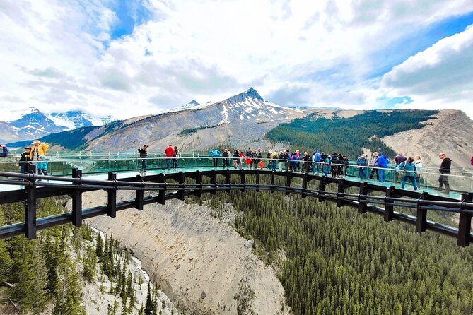 Columbia Icefield, Crowfoot Glacier and Bow ,Peyto Lake Tour - Key highlights worth planning around