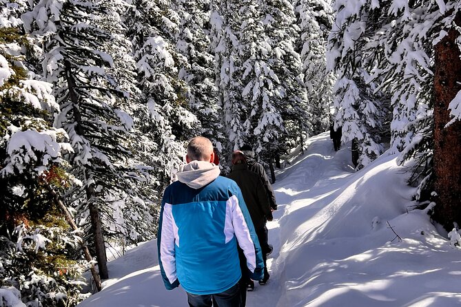 Columbia Icefield, Crowfoot Glacier and Bow ,Peyto Lake Tour - Johnston Canyon in winter: waterfalls, a gorge, and ice walking when conditions allow