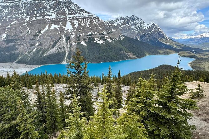 Columbia Icefield, Crowfoot Glacier and Bow ,Peyto Lake Tour - Peyto Lake trail time: the wolf-shaped viewpoint and the photo spot