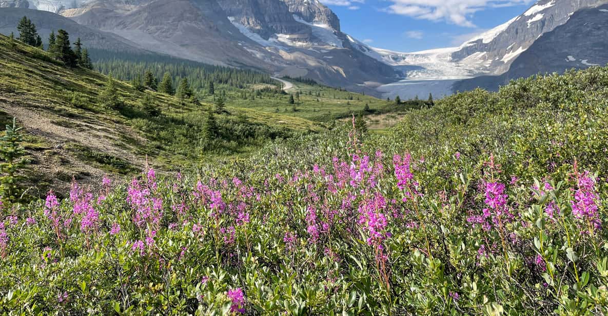 Columbia Icefield: Guided Glacier Hike - Weather reality: rain gear is included, but you still need layers