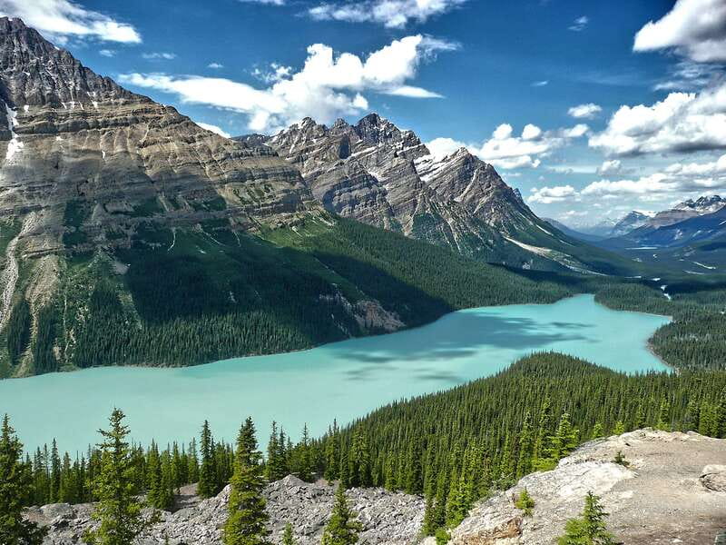 Columbia Icefield, Peyto Lake, Bow Lake Discovery Tour - Key things to know before you go