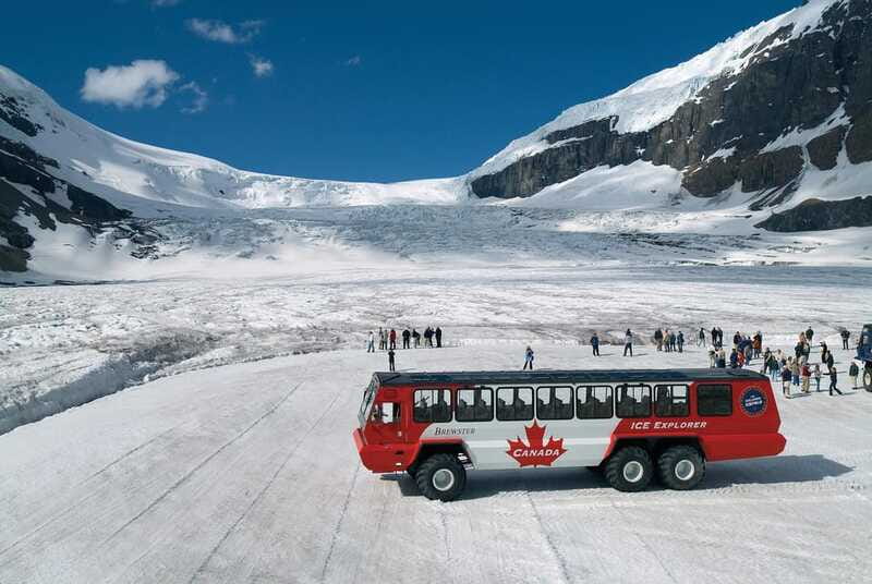 Columbia Icefield, Peyto Lake, Bow Lake Discovery Tour - Price and value: what $104 buys you (and what it doesn’t)