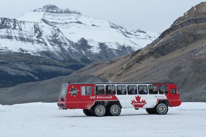 Columbia Icefield Peyto Lake Bow Lake from Calgary Canmore Banff - Wildlife, Photo Stops, and How Guides Make the Day Easier