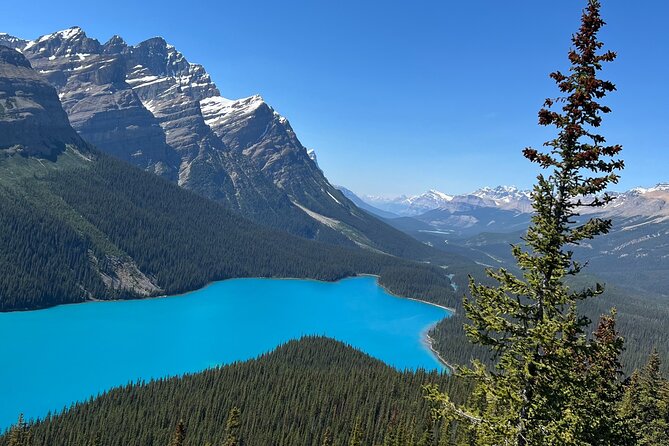 Columbia Icefield Peyto Lake Bow Lake from Calgary Canmore Banff - Price and Value: What $89.32 Covers (and What Doesn’t)