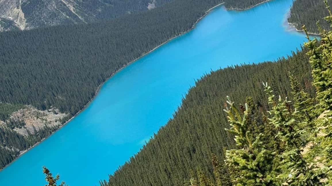 Columbia Icefield, Skywalk, Crowfoot Glacier, and Lakes Tour - Columbia Icefield and Skywalk: what you get, what you pay extra for