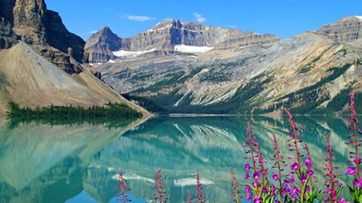 Columbia Icefield, Skywalk, Crowfoot Glacier, and Lakes Tour - Optional Ice Explorer and Glacier Adventure: getting close to Athabasca