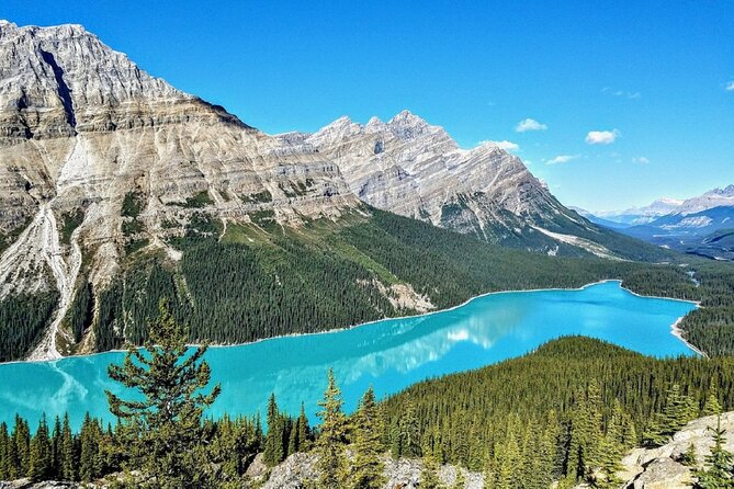 Columbia Icefield,Peyto Lake,Bow Lake Day Trip from Banff/Calgary - Price and value: what $66.80 really buys (and what it doesn’t)