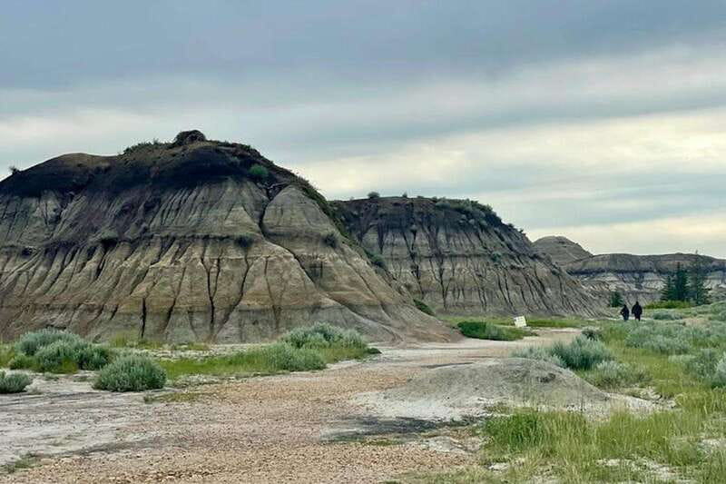 Day of Dinosaurs and Hoodoos From Calgary to the Badlands - What’s Included (and What It Means for Your Comfort)