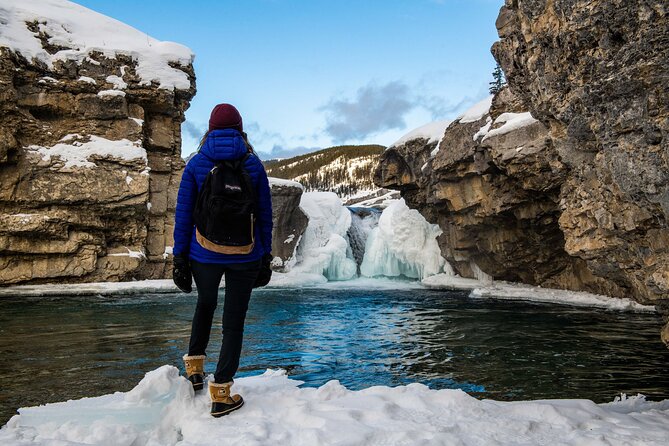 Day Tour to Banff Gondola Johnston Canyon Hiking Cave Basin - Banff Gondola to Sulphur Mountain: the 8-minute wow factor