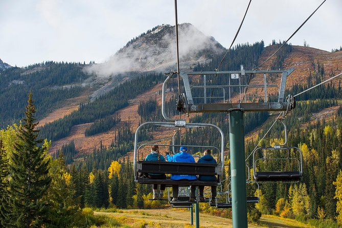 Discover Grizzly Bears from Banff - Morning Pickup and Getting Ready for Grizzly Country