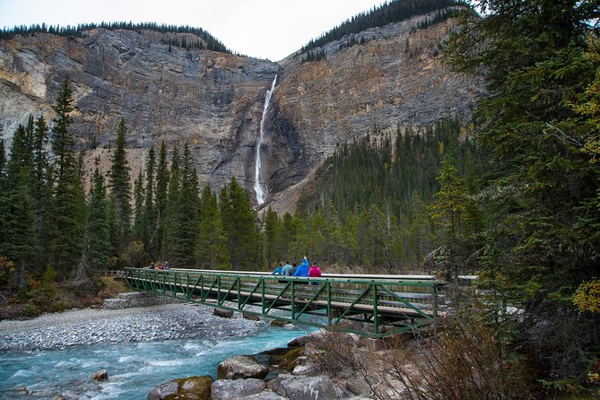 Discover Grizzly Bears from Banff - Emerald Lake Photo Break (and How to Make It Count)