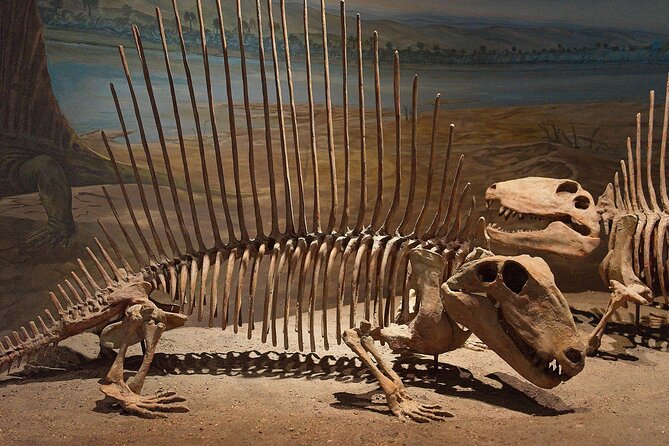 Drumheller and Badlands Full-Day Tour with a Small Group - Price and Value: What Your $218.99 Actually Buys