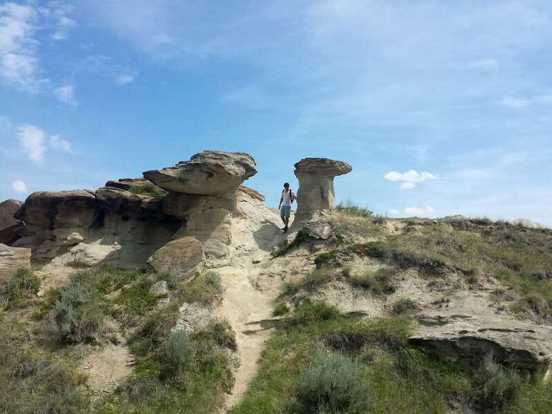 Drumheller: Bad Land & Dinosaur Museum Tour from Calgary - Horseshoe Canyon: Canyon Turns, Layered Cliffs, and Color