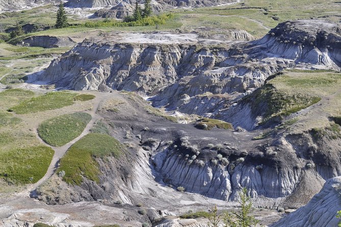 Drumheller Dinosaur Valley & Horseshoe Canyon Adventure Day Tour - Stop 1: Horseshoe Canyon’s Glacier-Carved U and Golden Prairie Views