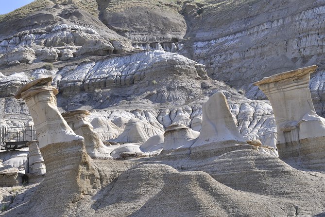 Drumheller Dinosaur Valley & Horseshoe Canyon Adventure Day Tour - Price and Value: Is $111.64 a Good Deal From Calgary?