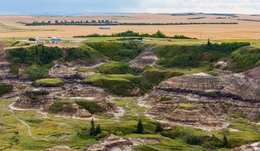 Drumheller: Dinosaurs, Canyons, & Hoodoos Day Tour - Who should book this Drumheller dinosaurs and hoodoos tour?