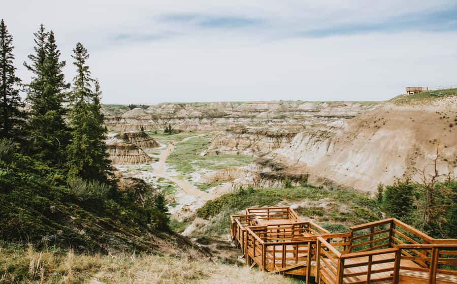 Drumheller: Dinosaurs, Canyons, & Hoodoos Day Tour - Drumheller Day Tour: what the $119 really covers