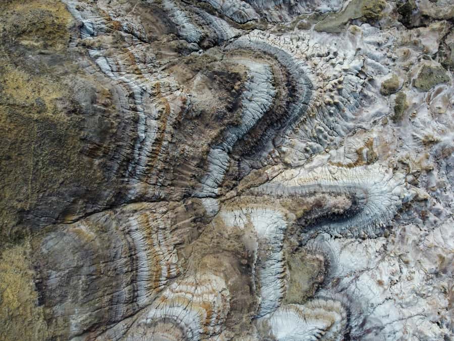 Drumheller: Dinosaurs, Canyons, & Hoodoos Day Tour - Lunch stop: keep it simple in the middle of a tight schedule