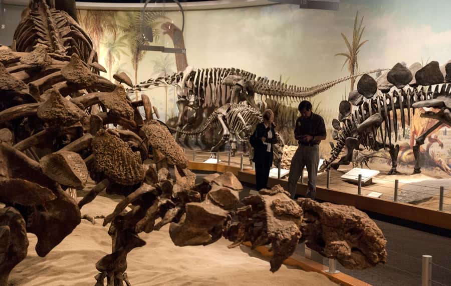 Drumheller: Dinosaurs, Canyons, & Hoodoos Day Tour - Hoodoo Trail: iconic rock forms in about 30 minutes