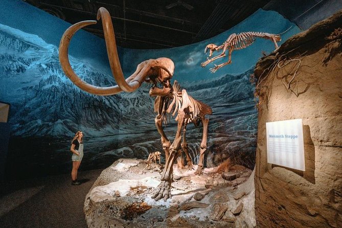 Drumheller: Royal Tyrrell Museum, Hoodoos and Horseshoe Canyon - Key Points to Know Before You Go