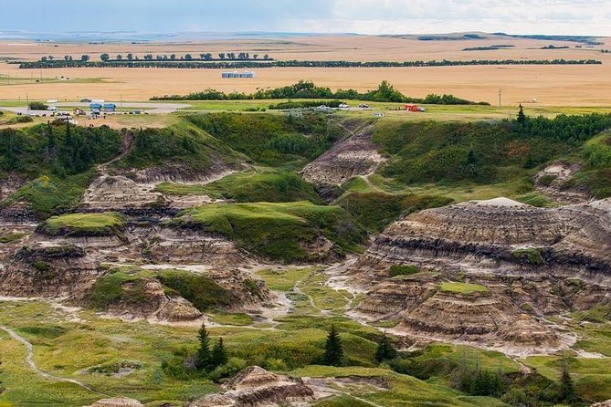 Drumheller: Royal Tyrrell Museum, Hoodoos and Horseshoe Canyon - Royal Tyrrell Museum: The Dinosaur Ticket You’ll Actually Want