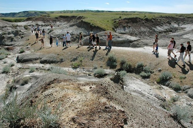 Drumheller: Royal Tyrrell Museum, Hoodoos and Horseshoe Canyon - Timing, Comfort, and the Reality of a 9–10 Hour Day