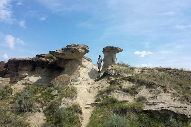 Drumheller: Royal Tyrrell Museum, Hoodoos and Horseshoe Canyon - Price and Value: When $118.98 Makes Sense