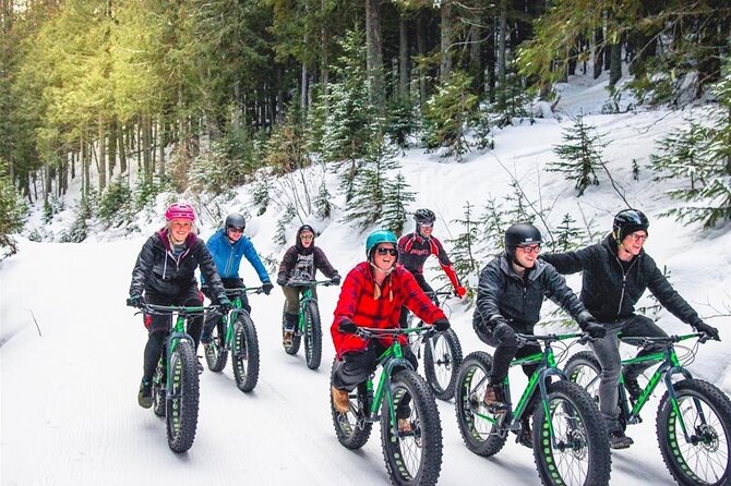 Electric Fat Biking Adventure in Banff | Small Group Adventure - Banff in Motion: How the Ride Works in Real Life