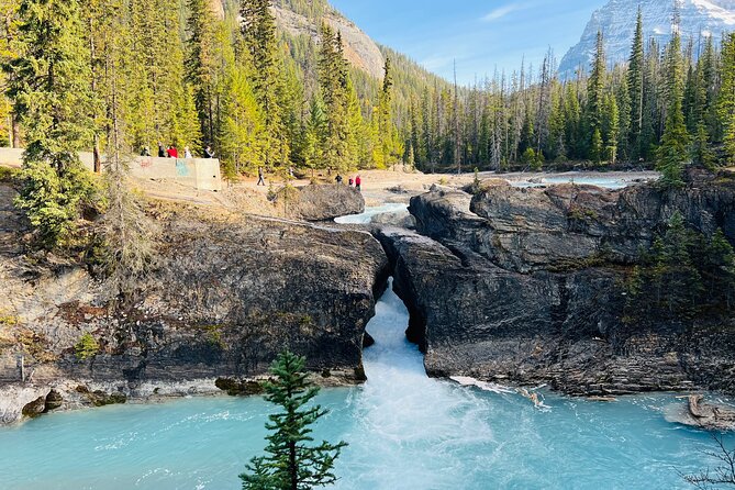 Emerald Lake,Natural Bridge, Wapta Falls & Takakkaw Falls in Yoho - Key Things I’d Plan Around