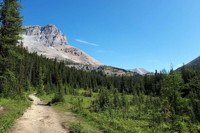 Exclusive Skoki Backcountry Guided Hiking in Lake Louise with Van Shuttle - Skoki gets quieter when you start with a van shuffle