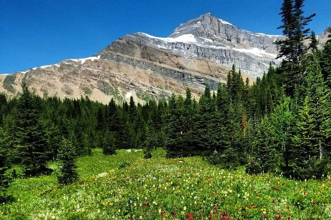 Exclusive Skoki Backcountry Guided Hiking in Lake Louise with Van Shuttle - Guides that make the day safer and more meaningful