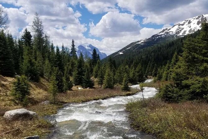 Exclusive Skoki Backcountry Guided Hiking in Lake Louise with Van Shuttle - Price and value: $154.42 for a full backcountry day with shuttle access