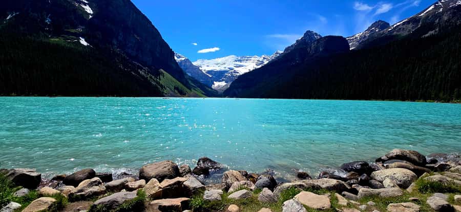 Explore 9 Iconic Banff Spots in 1 Epic Day!(Pax 12/Group) - Crowfoot Glacier Viewpoint and Bow Lake: Classic Ice and Reflection Time