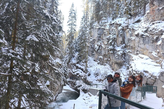Explore Banff National Park with Our Premium Day Tour - Johnston Canyon in winter: catwalk views and frozen falls