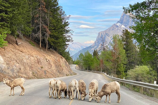 Explore Moraine Lake, Banff, Lake Louise & Minnewanka - Why this Rockies lakes day works: four icons plus Banff town time