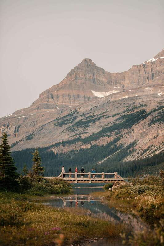 From Banff: Athabasca Glacier and Columbia Icefield Day Trip - Wildlife chances and how your guide helps you spot it