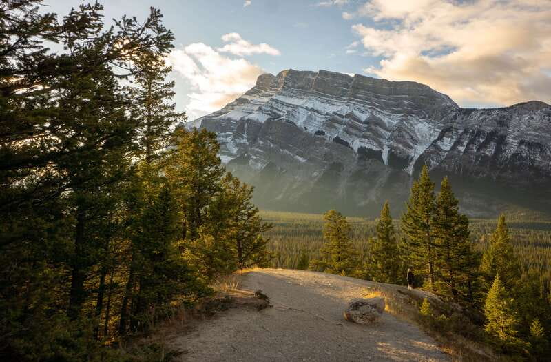 From Banff: Banff Wildlife & Scenic Highlights Premium Tour - How the 3-Hour Ride Really Works (Small Group, Panoramic Windows, Real Stops)