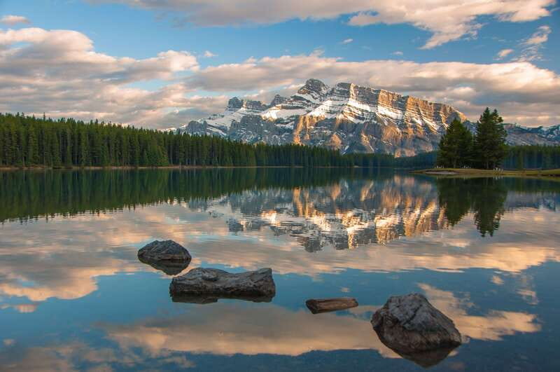 From Banff: Banff Wildlife & Scenic Highlights Premium Tour - Two Jack Lake and Surprise Corner: Quick Stops in Animal Corridors
