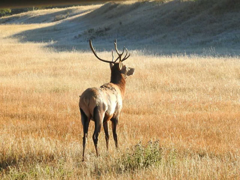From Banff/Canmore: Deep 1 Day Tour in Banff National Park - Key points worth knowing before you go