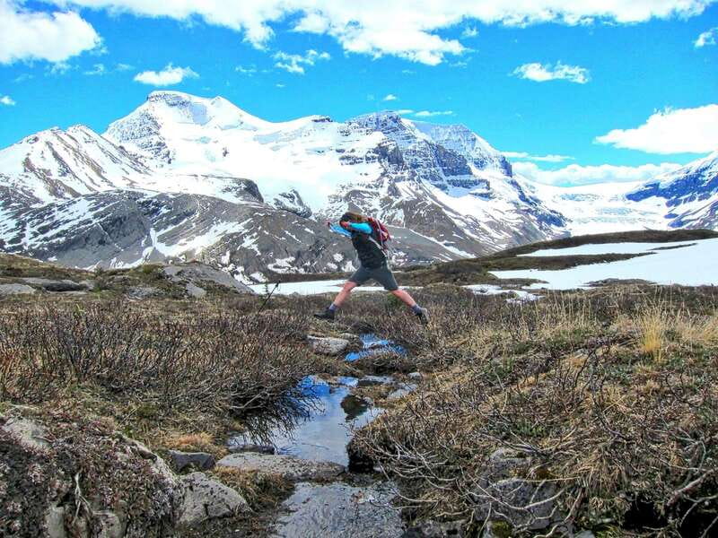 From Banff/Lake Louise: 1-Way Sightseeing Tour to Jasper - Wildlife spotting, photo strategy, and camera readiness